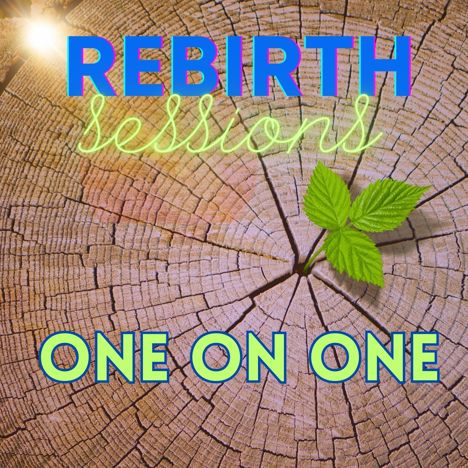 rebirth one on one